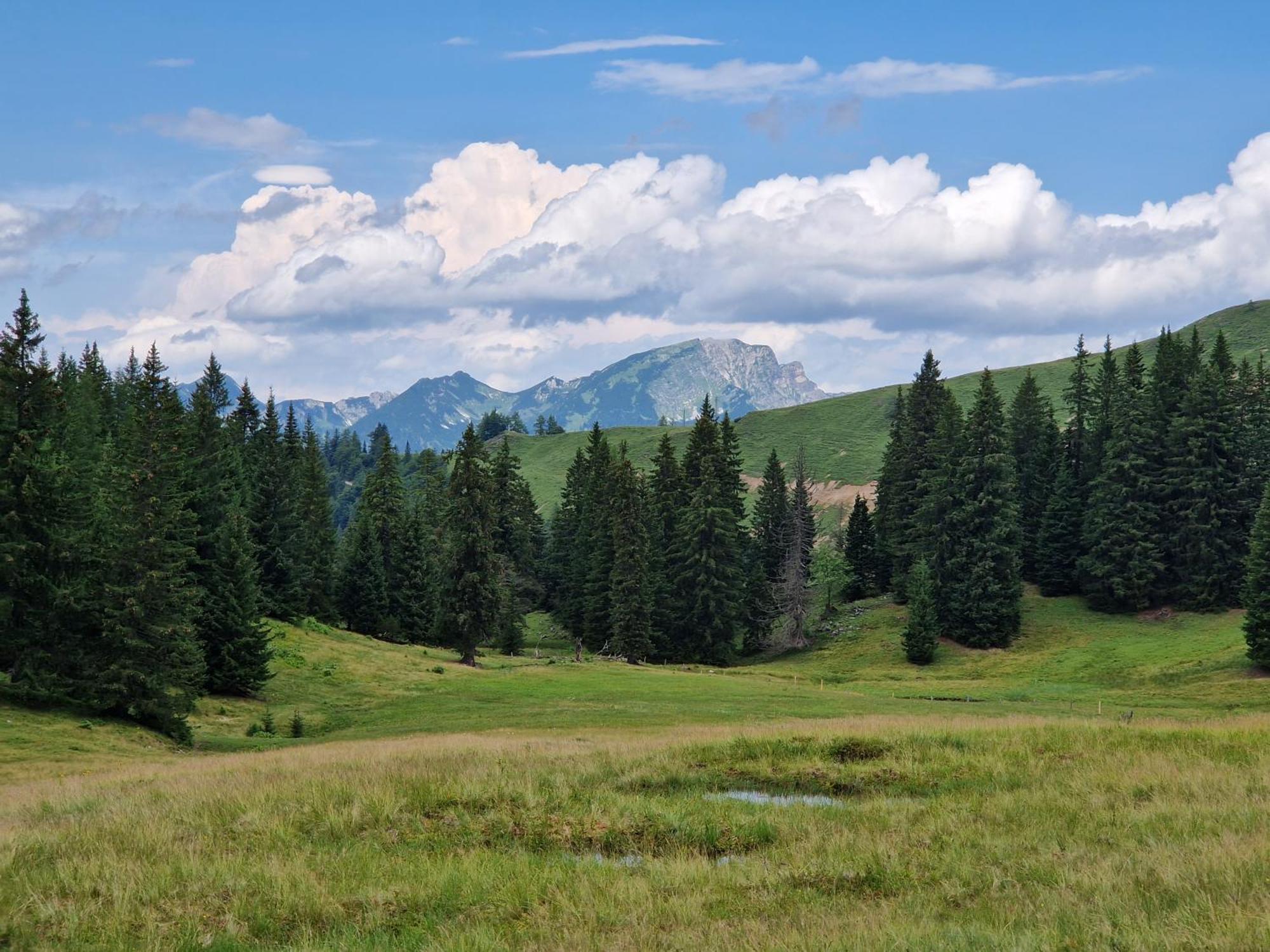 Kachelofenwohnung Poelzleitner Аннаберґ-ім-Ламмерталь Екстер'єр фото