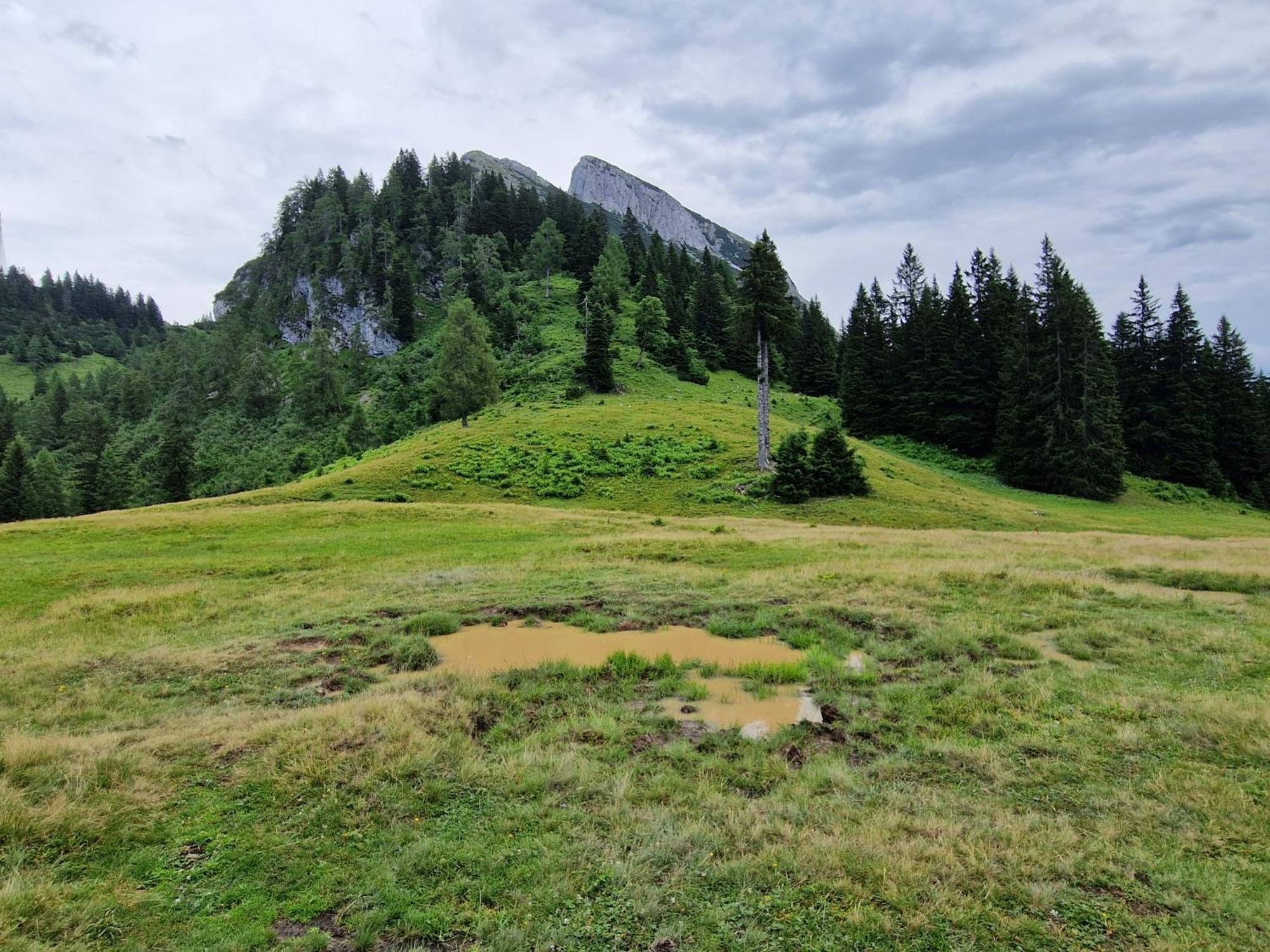 Kachelofenwohnung Poelzleitner Аннаберґ-ім-Ламмерталь Екстер'єр фото